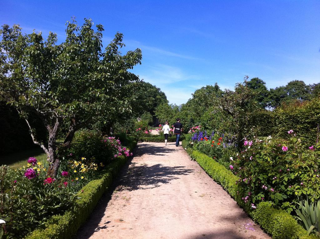 Chateau Des Briottieres Champigné Esterno foto